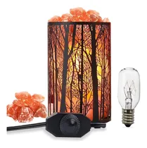Comprar Lámparas De Sal Shineled, Lámpara De Sal Del Himalaya Natura