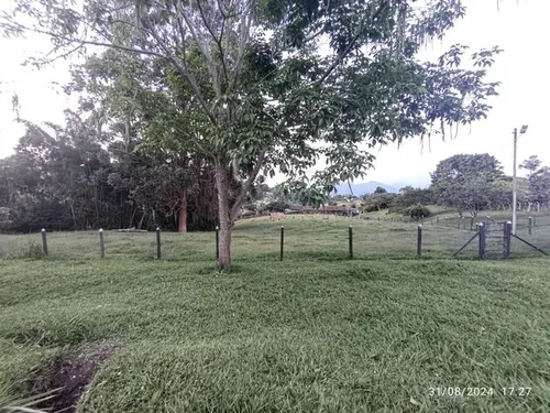 Vendo Finca En Otramina En Titiribí Suroeste Antioqueño De 2 Cuadras Topografía Plana