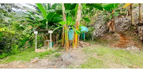 Venta Finca - Vereda Coco Hondo - Balboa