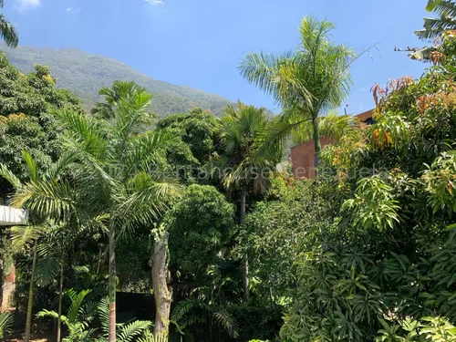 Ls Vende Casa Los Palos Grandes