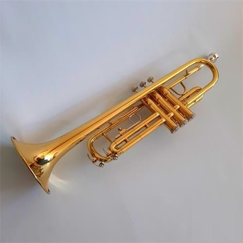 Trompeta Bb 3 Pist + Estuche Y Acces  Lincoln Winds Lwtr1402