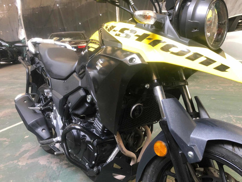 Imagen 9 de 19 de Suzuki Vstrom 250