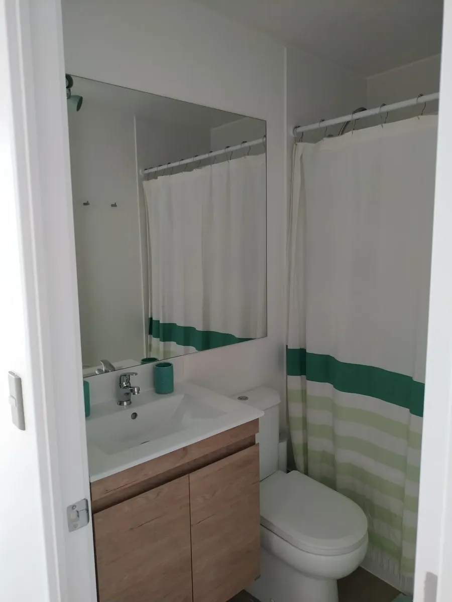 Imagen 3 de 16 de Se Vende Departamento 100% Amoblado Con Laguna Artificial