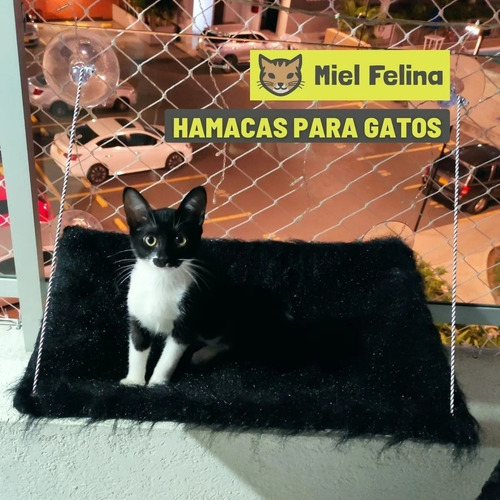 Imagen 3 de 3 de Cama Hamaca De Ventana Plegable Para Gatos - Miel Felina