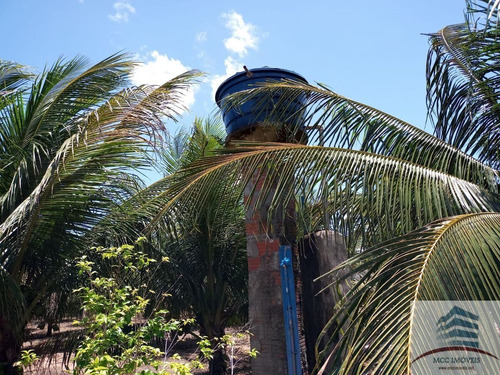 Imagem 6 de 11 de Granja A Venda, Mendes, São José De Mipibu