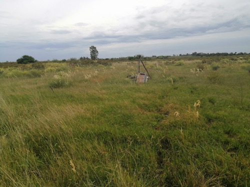 Imagen 5 de 12 de Chacra A La Venta - A 2 Km De San Antonio - 5 Hás