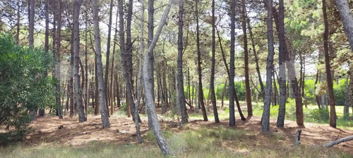 Terreno Lote En Venta En Pinamar, Costa Atlántica, Buenos Aires