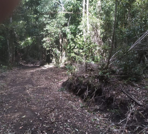 Se Vende Hermoso Campo En  Ralún 2.5 Há