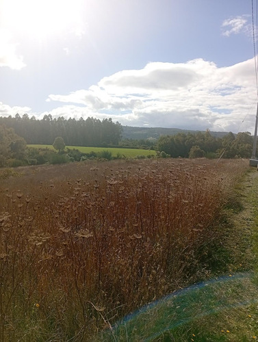 Terreno Ubicado A 6 Km De La Union, Sector Cudico