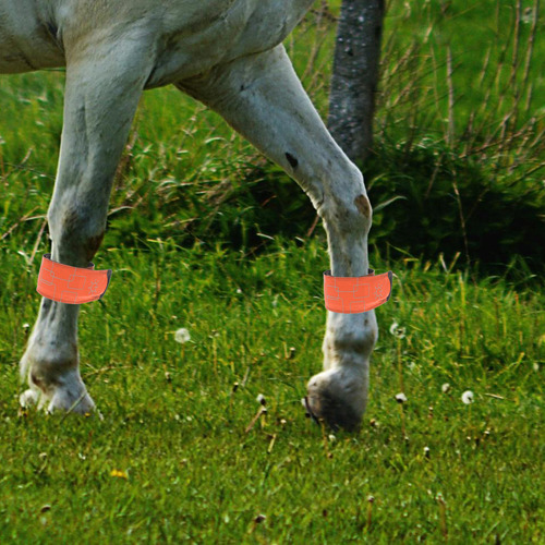 Tobilleras Led Para Caballos Ajustables En Altura, 4 Unidade