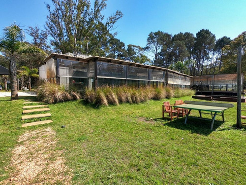 Imagen 7 de 11 de Venta Espectacular Local En Solana, Punta Ballena!