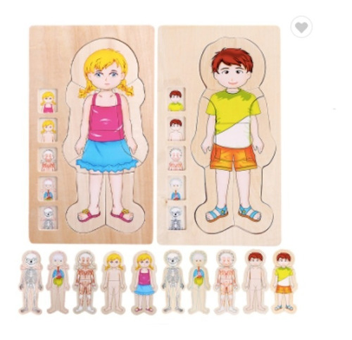 Puzzle Encaje Didáctico Cuerpo Humano Niña O Niño, Madera