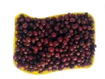 Comprar Semillas De Eugenia 5\u002Fkilos Jardín Y Cercas Vivas Envío Grts