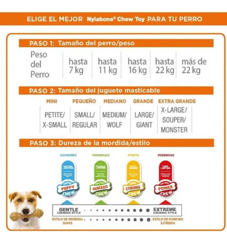 Juguete Nylabone Perro Porta-premios Fun N Fit Vainilla Medi