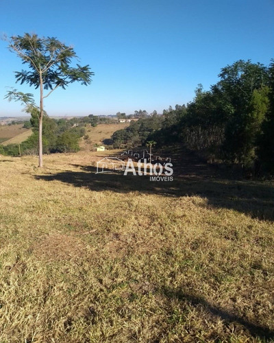 Imagem 3 de 12 de Vendo Sitio Em Elias Fausto - St00031 - 69569371