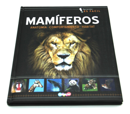 Libro Ilustrado De Animales Mamíferos Anatomía Para Niños