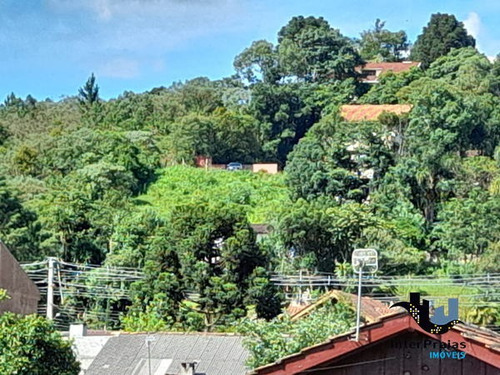 Imagem 9 de 12 de Terreno Em Rua - 220674-v