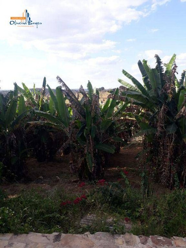 Imagem 15 de 30 de Chácara Com 2 Dormitórios À Venda, 48400 M² Por R$ 550.000 - Zona Rural - Pirenópolis/go - Ch0104