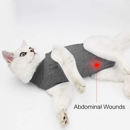 Traje De Recuperación Profesional Para Gatos Para Heridas Ab