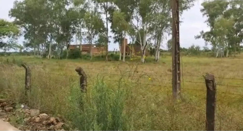 Imagen 10 de 13 de Terreno En Venta! 10 Hectáreas En Encarnación