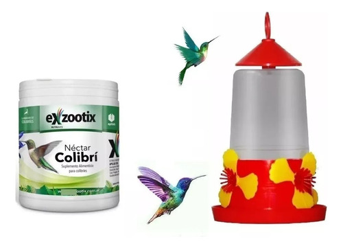 Imagen 1 de 9 de Alimento Nectar Picaflor Colibri Exzootix + Bebedero Kit