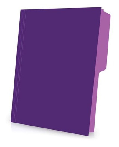 Folder Pendlaflex Carta Violeta C/25pz