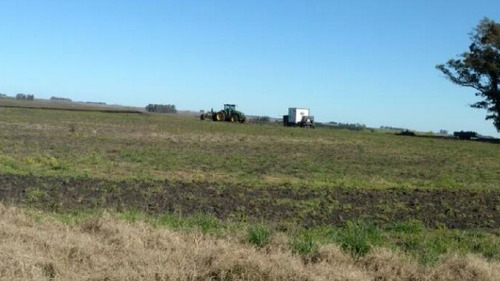 Imagen 4 de 12 de Terreno Campo En Venta Ubicado En Río Negro, Río Negro
