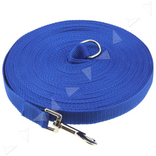 2 Cm X 15 M Azul Perro Mascota Entrenamiento Obediencia Corr