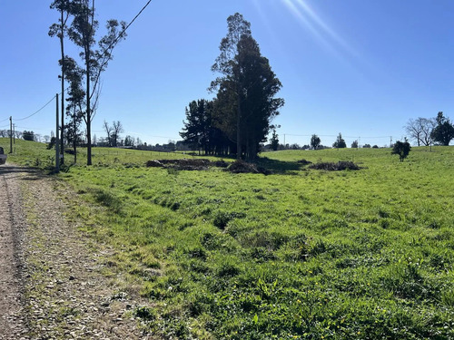 Parcela A Solo 5 Minutos De Osorno