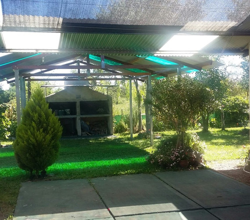 Imagen 13 de 14 de Alquiler Bungalows 2/4/6 Personas Pegado Termas Gualeguaychu