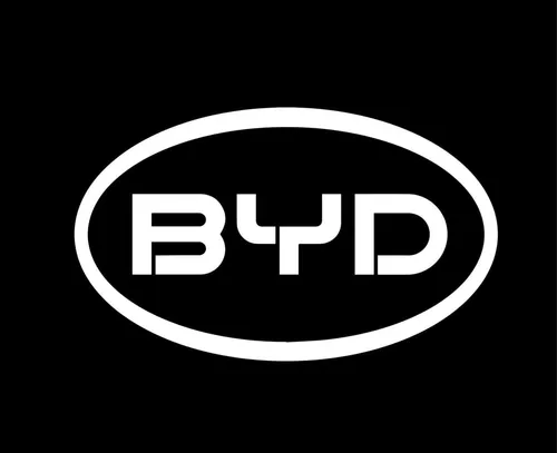 Radiador Byd Flyer Original