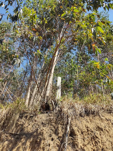 Imagem 4 de 4 de Jv517 Os Melhores Terrenos Da Região... (igaratá)