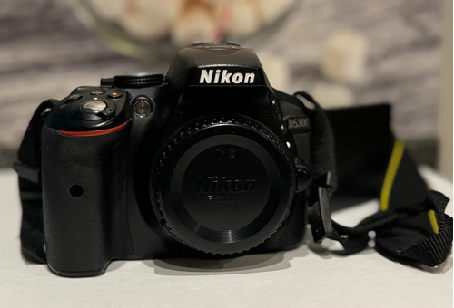 Camara Nikon D5300+3 Lentes+flash+2 Radios+soft Box+tripode