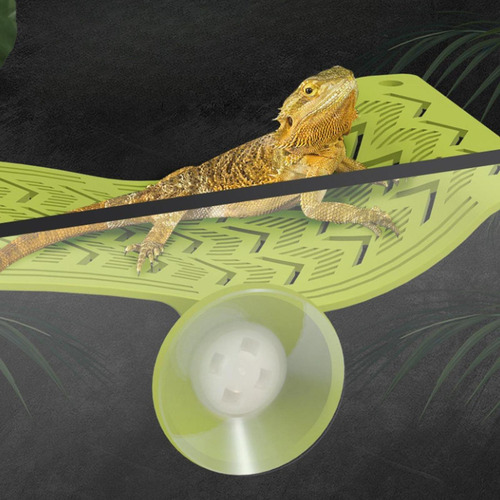 Hamaca De Reptiles, Hamaca De Dragón, Tumbona De Verde