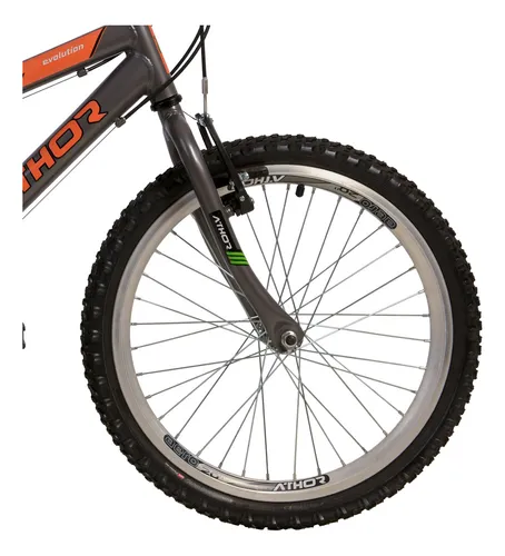 Bicicleta Aro 20 Evolution 18v Mtb Menino 6 At 10 Anos
