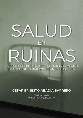 Libro Salud En Ruinas. La Destrucción Capitalista Del Cuida