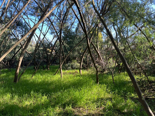 Se Vende Parcela-terreno, Bellini, Villa Italia, Coronel
