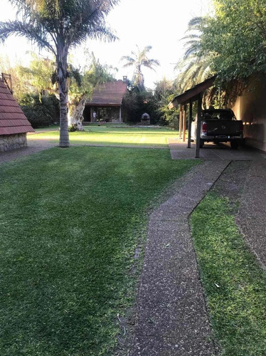 Imagen 4 de 9 de Lote 1450 Mts Con 2 Casas, Castelar, Parque Libre