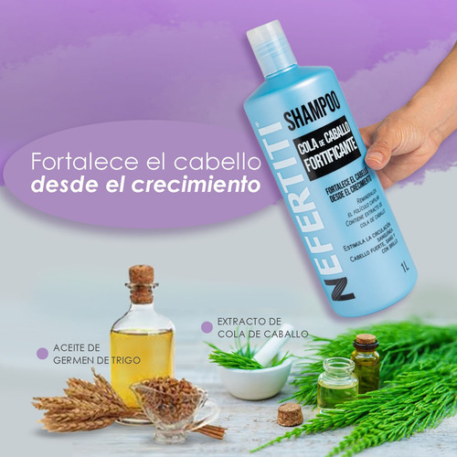 Shampoo Cola De Caballo Para Mayor Crecimiento De Cabello