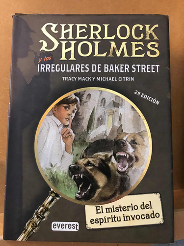 Sherlock Holmes Y Los Irregulares De Baker Street