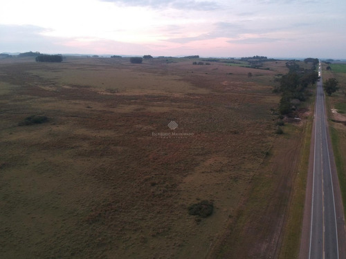 Campo De 125 Hectáreas En La Zona De Garzón