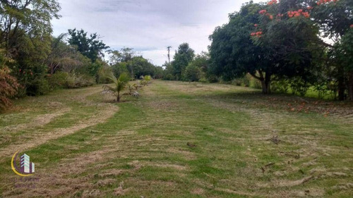Imagem 5 de 12 de Terreno À Venda 3.800m² - Angra De Antonina/sp - Te0154
