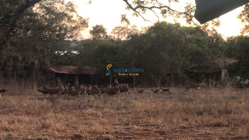 Imagem 20 de 20 de Fazenda Em Felixlândia - Mg - 6348