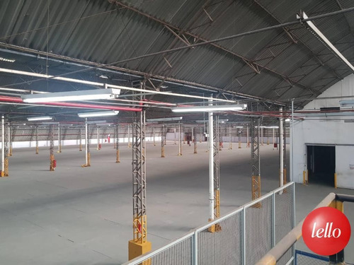 Imagem 12 de 14 de Comercial/industrial - Ref: 203230