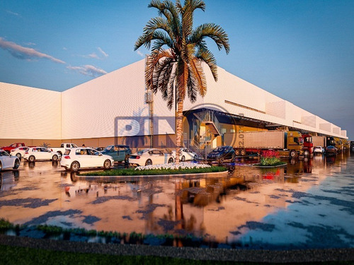 Imagem 7 de 13 de Galpao Para Alugar Em Aparecida De Goiania - Gl00119 - 69581132