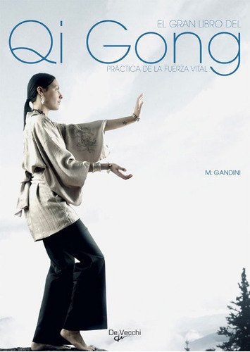 El Gran Libro Del Qi Gong Maurizio Gandini - Libro Envio Dia