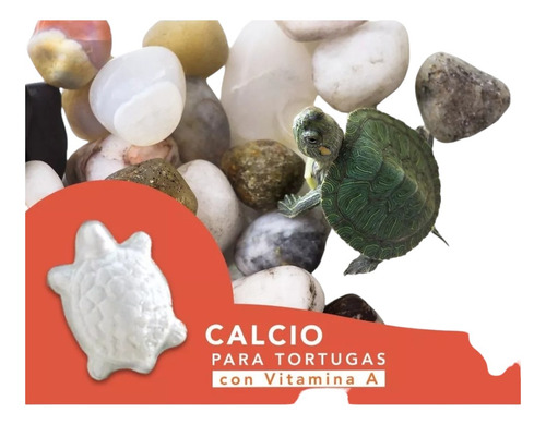 Calcio Para Tortugas Con Vitamina A (8 Piezas) Forma Tortuga