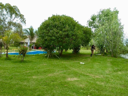 Imagen 3 de 8 de Campo En Venta En Chascomus Con Fondo De Comercio