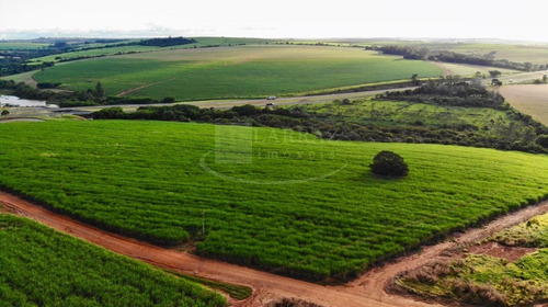Excelente Fazenda Para Venda Em Itapetininga-sp, Com 244 Alqueires, Formada Em Cana, Frente Para Rodovia Castelo Branco, Rica Em Agua, Rio Nos Fundos - Fa00084 - 69245340