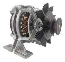 Comprar Motor Forte Tanquinho Lavadora Suggar Colormaq Até 4kg 127v